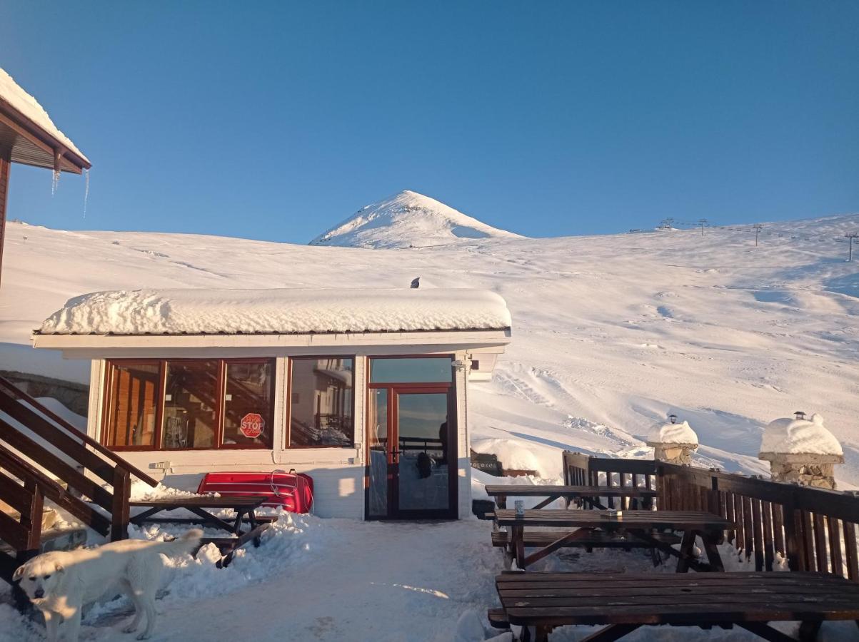 Cabana Transalpina Rânca Extérieur photo
