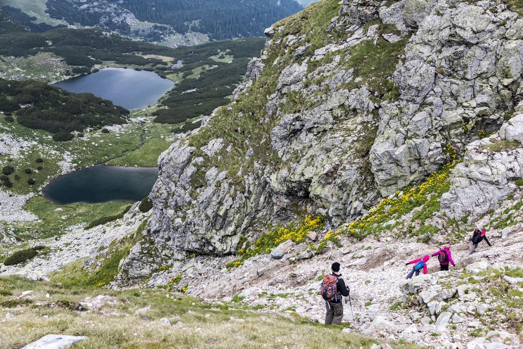 Cabana Transalpina Rânca Extérieur photo