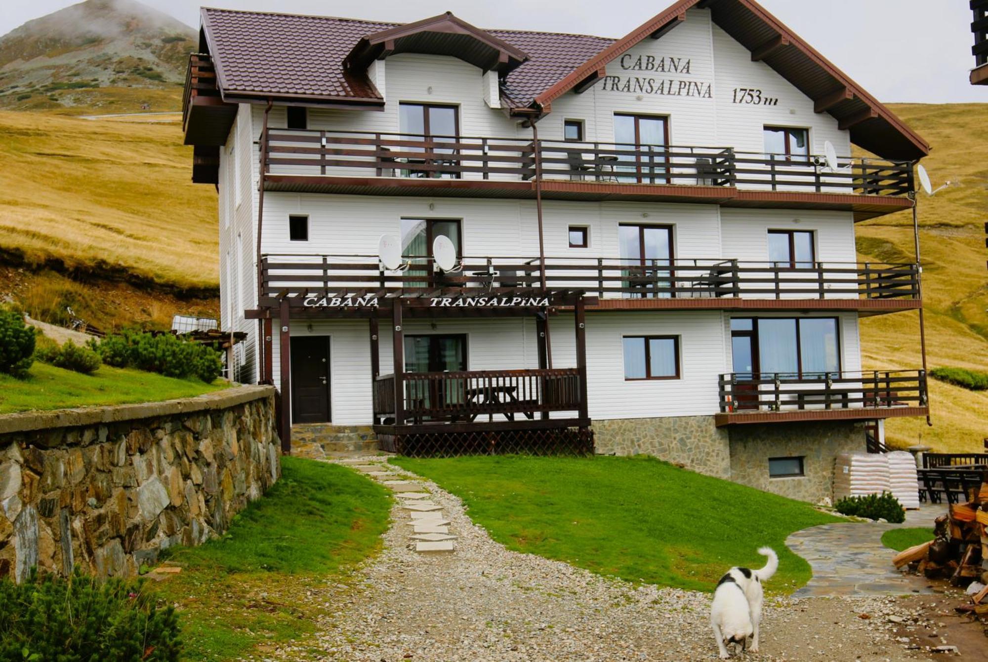 Cabana Transalpina Rânca Extérieur photo