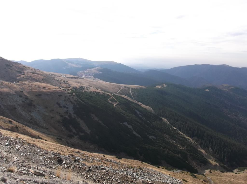 Cabana Transalpina Rânca Extérieur photo